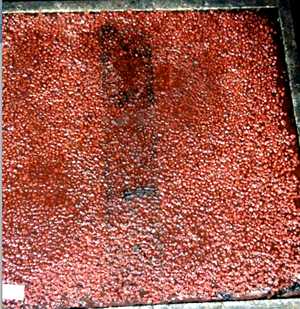 image009.png